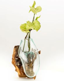 Wall Terrarium
